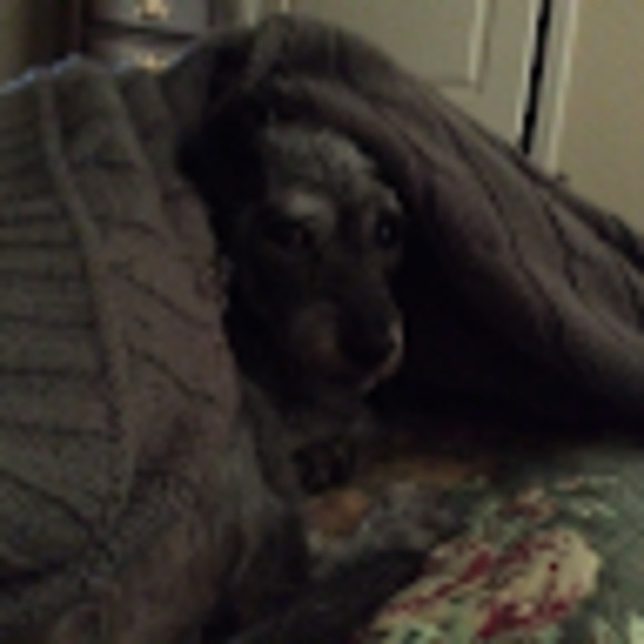 Meet your Posher, Karen - Picture 1 of 1